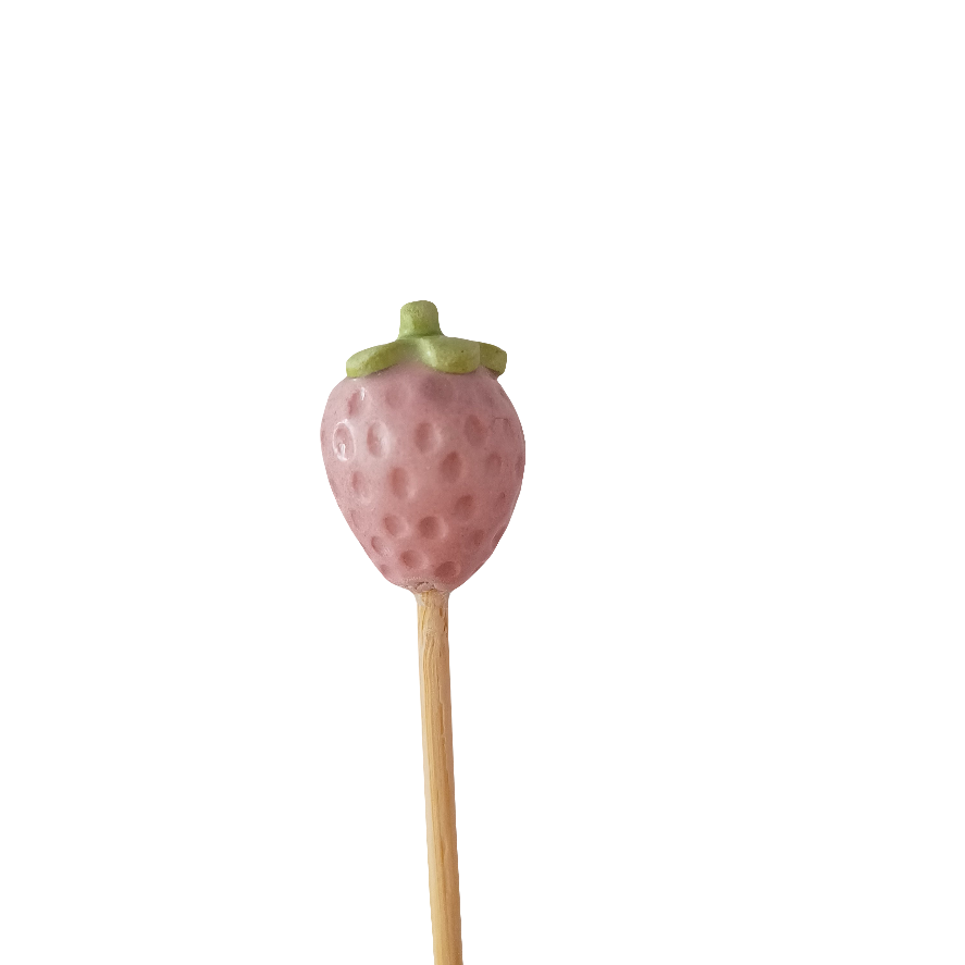 Plantichuche Fresa pink