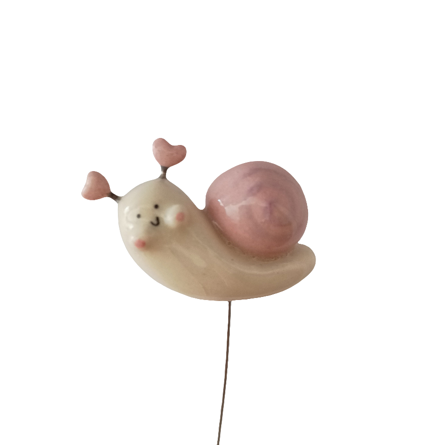 Plantichuche Caracol