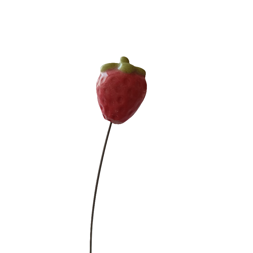 Plantichuche Fresa