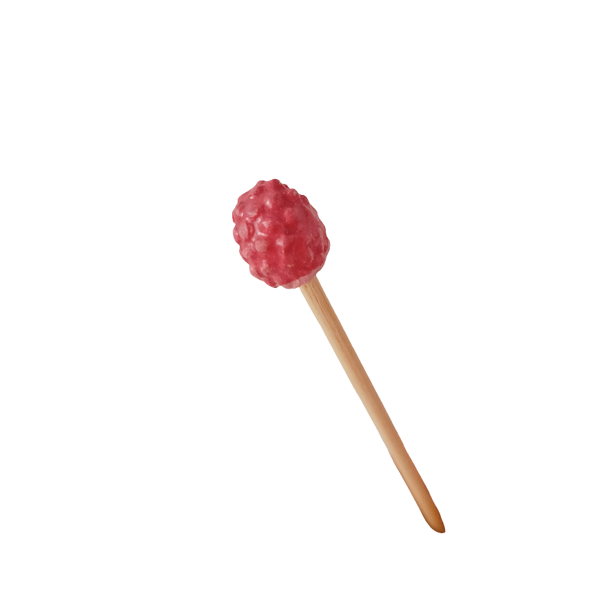 Plantichuche Raspberry
