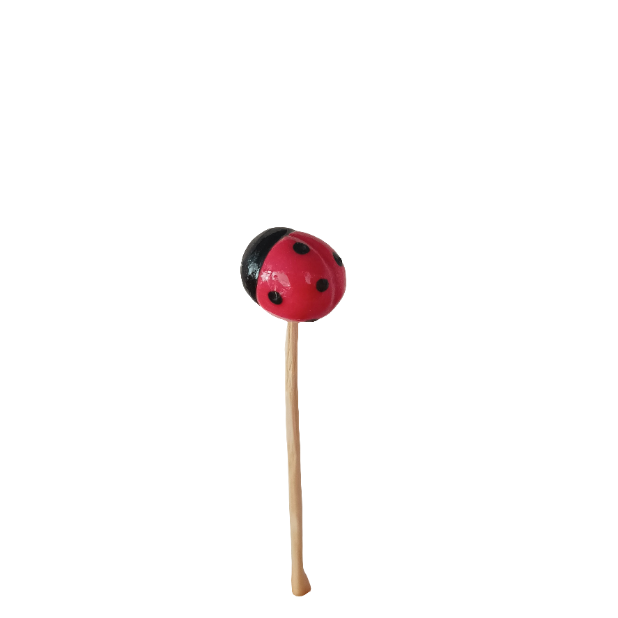 Plantichuche Catarina