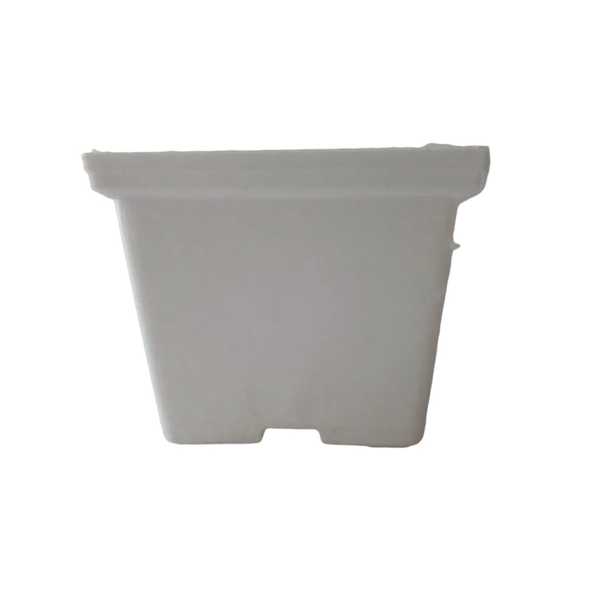 Maceta para suculentas🌱 3"
