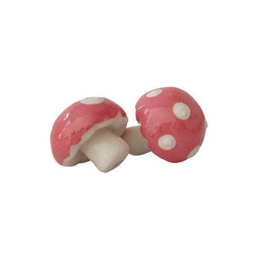 Plantichuche honguito 🍄