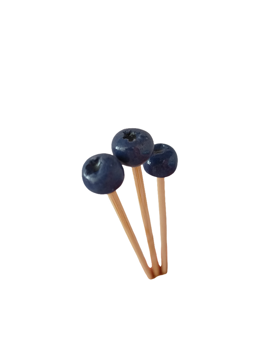 Plantichuches moras
