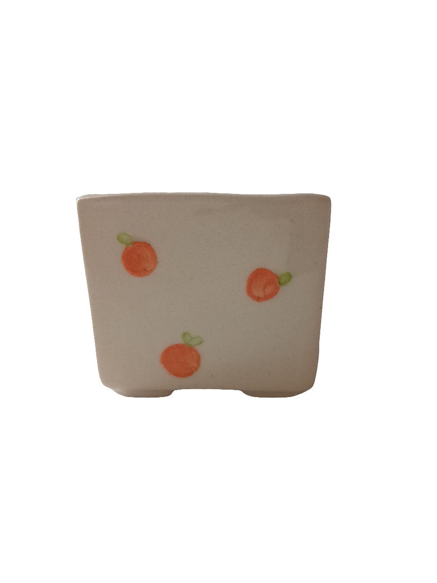 Cuadri pot
