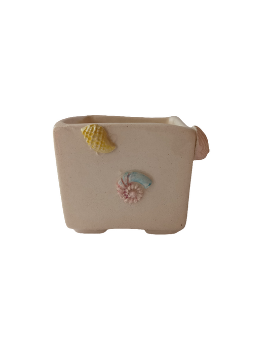 Cuadri pot conchas del mar