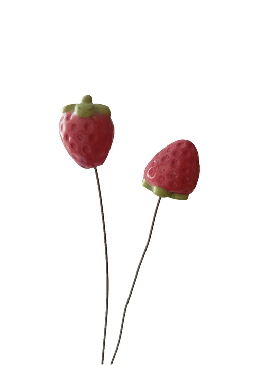 Plantichuche fresa
