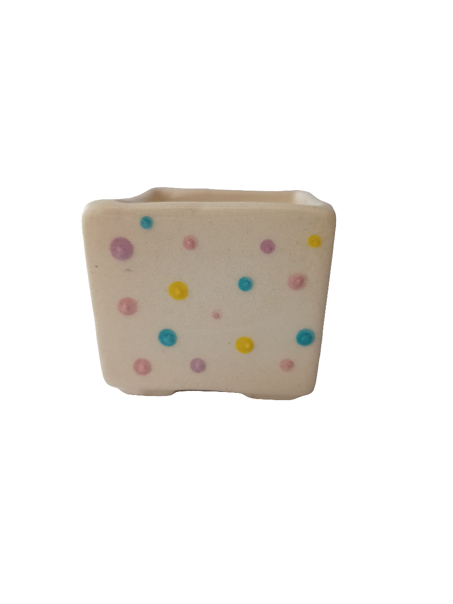 Cuadri pot