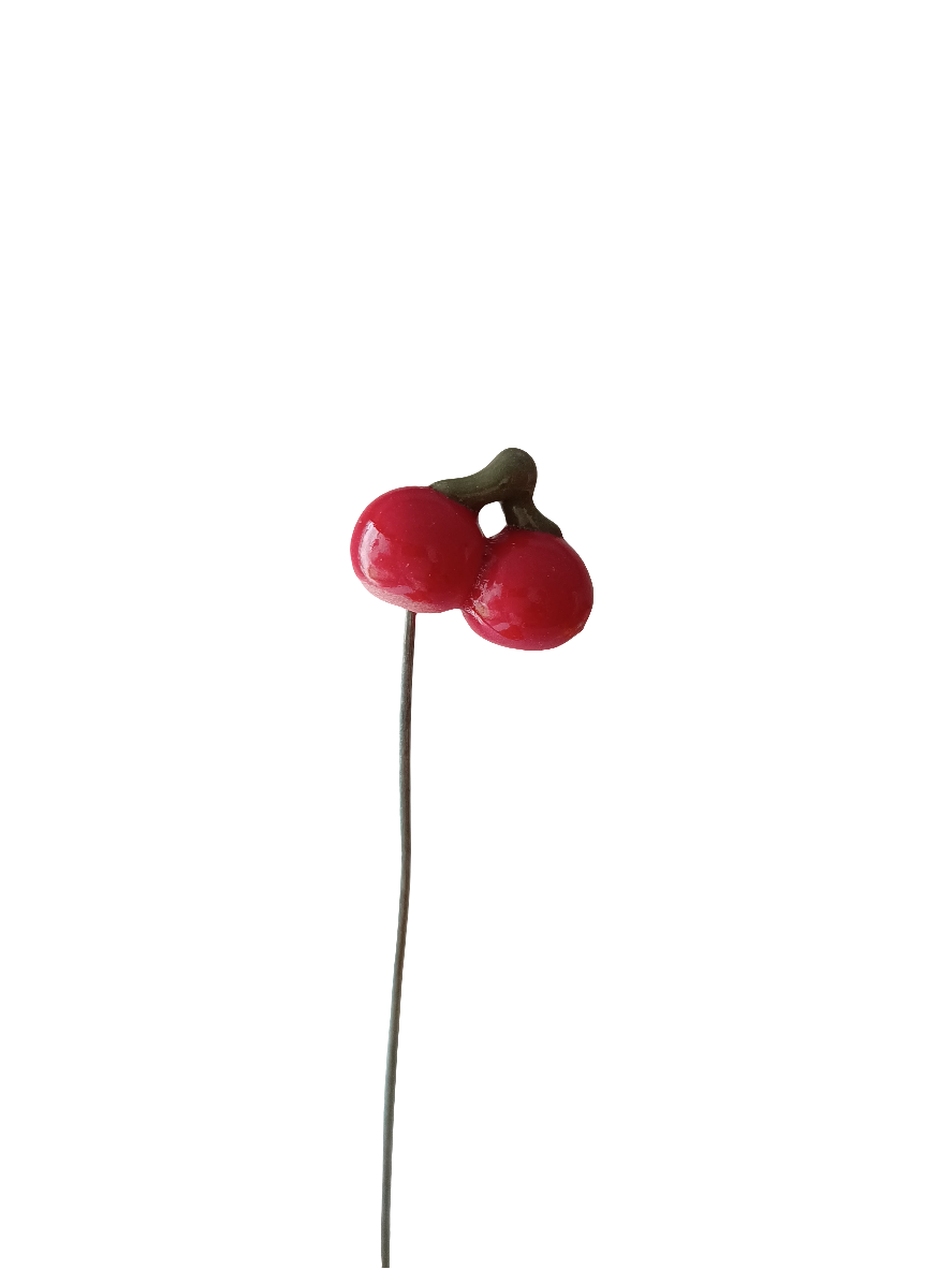 Plantichuches moras
