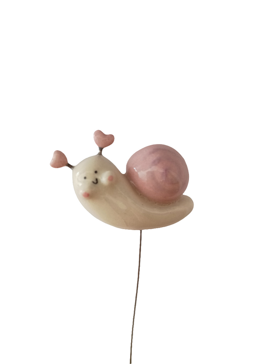 Plantichuche Caracol