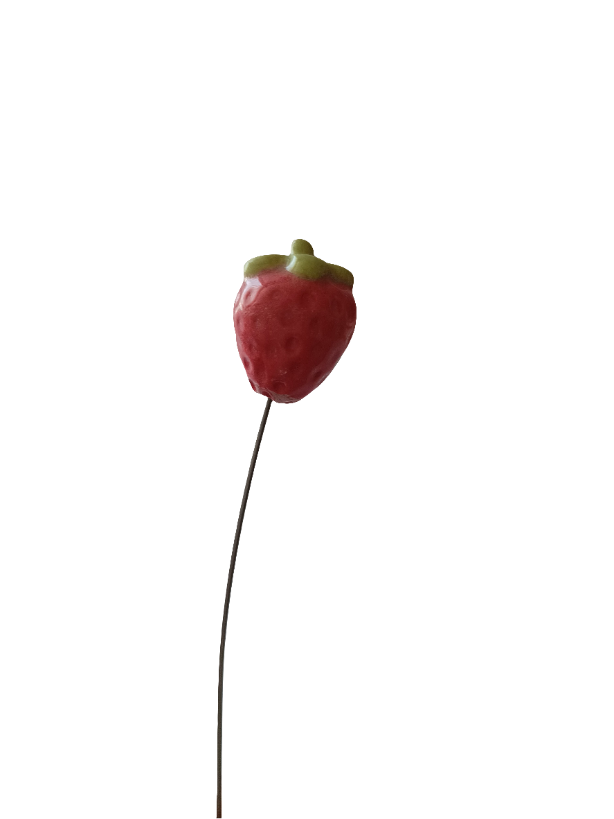 Plantichuche fresa