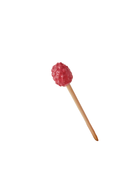 Plantichuche Raspberry