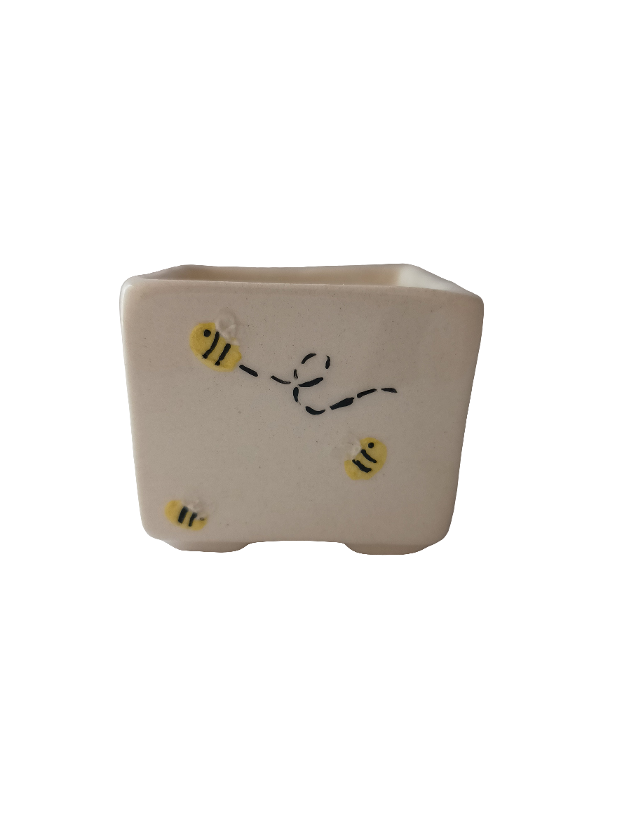 Cuadri pot