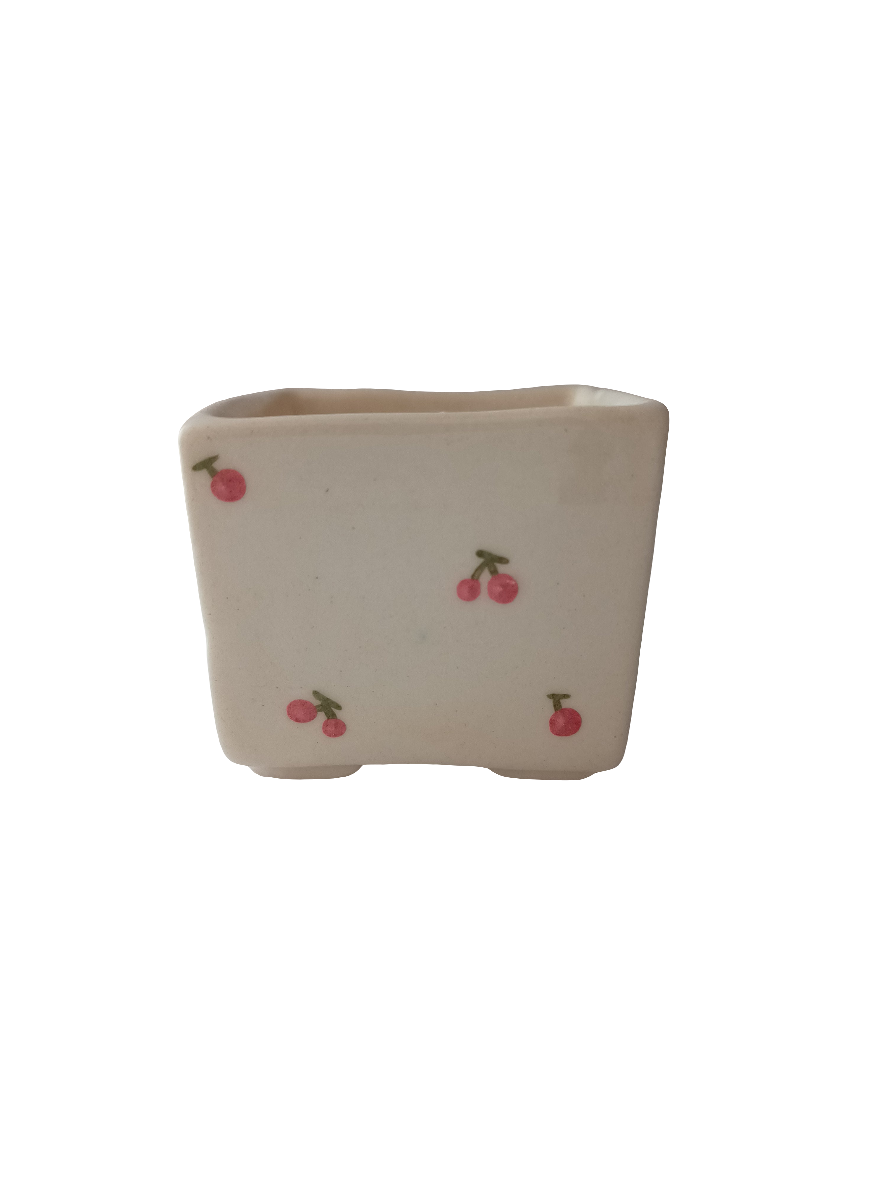 Cuadri pot