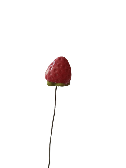 Plantichuche fresa