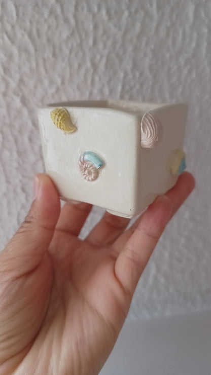 Cuadri pot conchas del mar