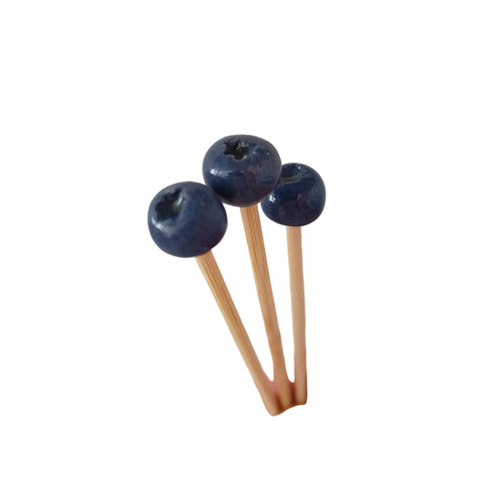 Plantichuche Blueberry 🫐