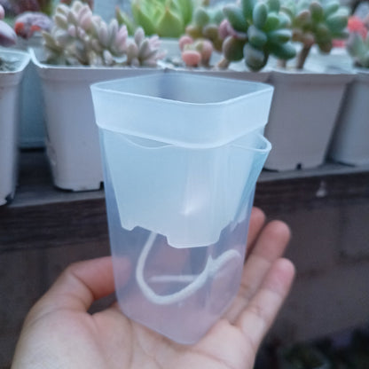 Maceta de autorriego 💧